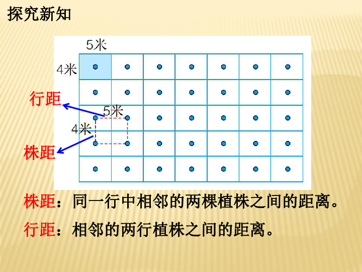 人均小学面积_人均耕地面积图(2)