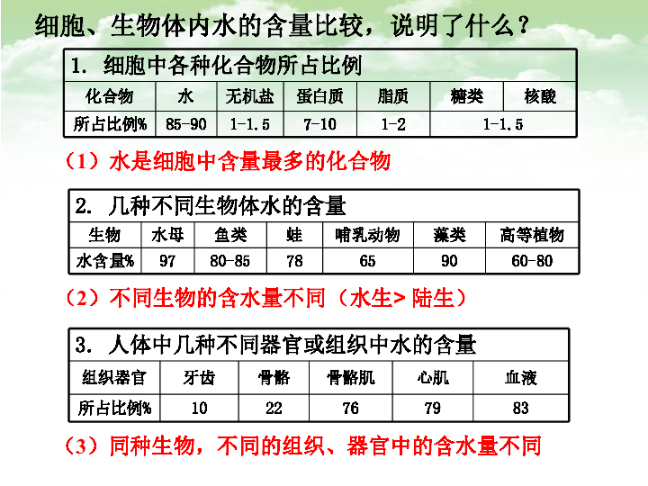 汕头人口城市排名第几_汕头城市图片(3)