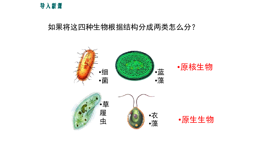 a0880df152ab146eb1e7c2eaa2245890.png