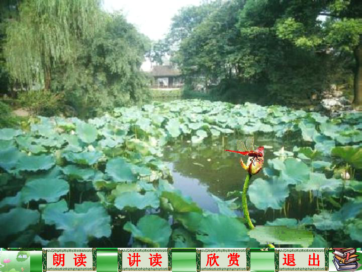 小池多少人口_小池古诗配画图片