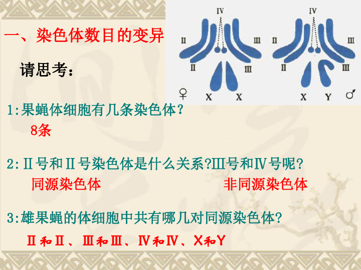 高中生物人教版《必修二 遗传与进化》5.2 染色体变异