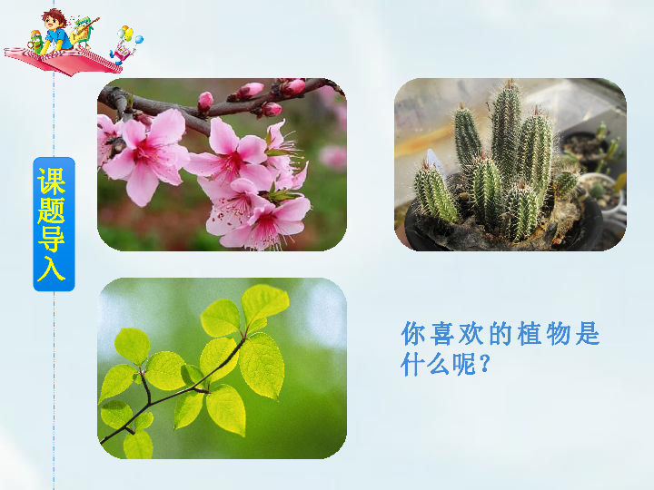 统编版三年级下册语文 习作:我的植物朋友课件(共13张