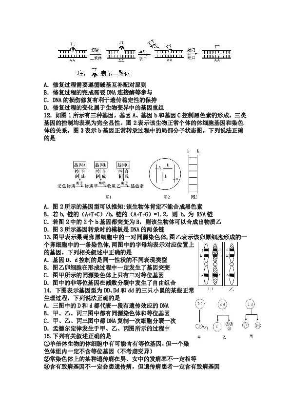 下列说法中什么不是gdp的特征_啥也不是图片