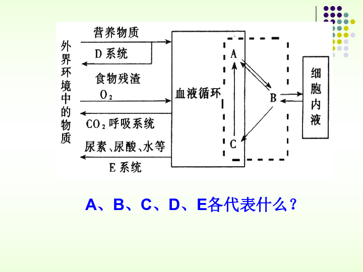 回血的原理_关于王者荣耀回血机制的分析(2)