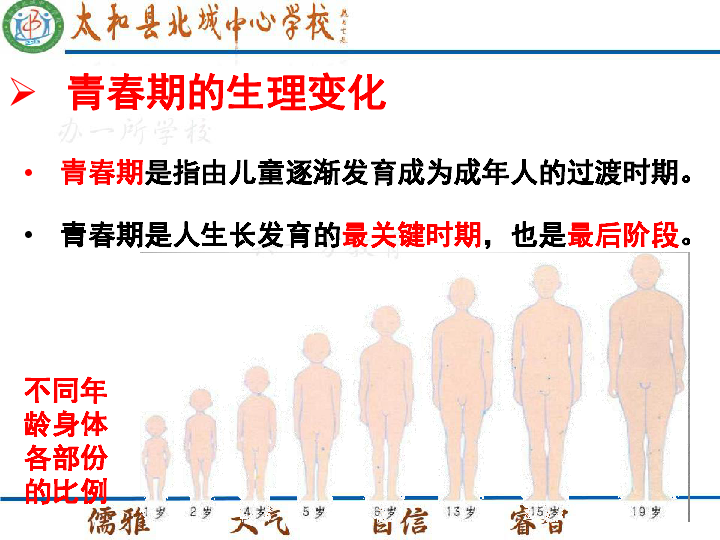3.2 青春期发育(19张ppt)