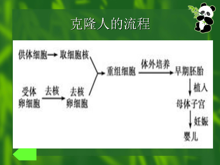 生物技术的克隆,生物技术的克隆是什么
