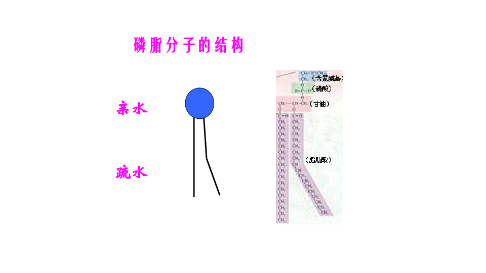 人口流动的模型_中国人口省际流动重力模型的参数标定与误差估算(3)