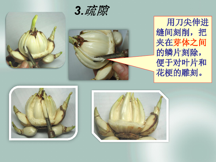 水仙花雕刻课件