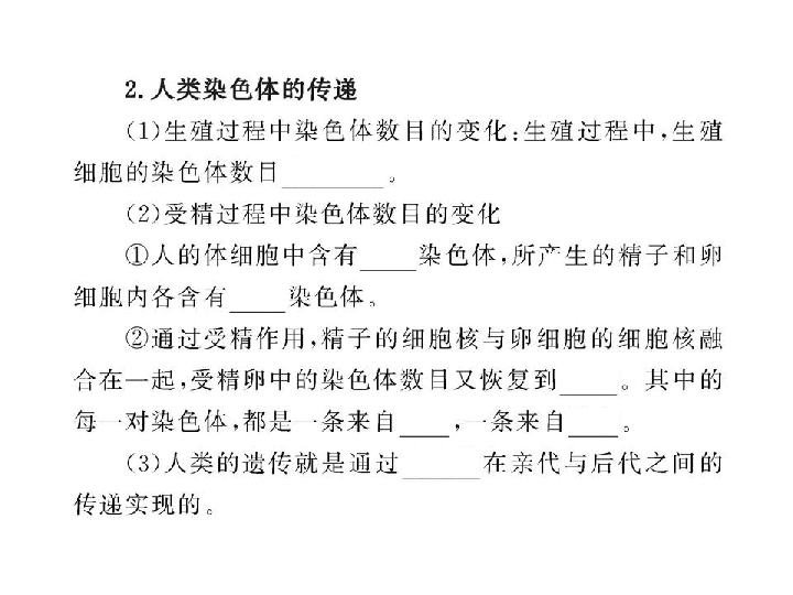由性人口_人口普查(2)