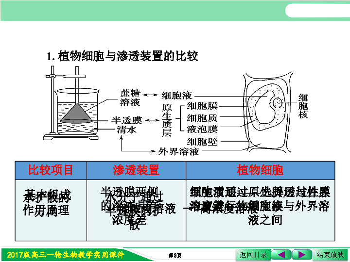 人口上皮细胞能进行质壁分离_人口上皮细胞显微图