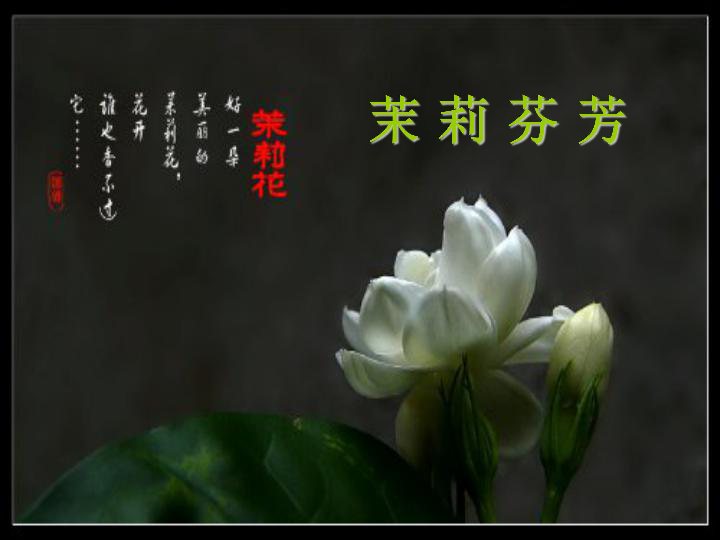 ac074513f3f98e55dc607e051b40d78e.png