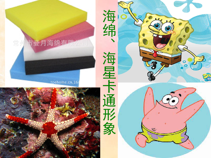 4.趣味动漫 课件(22张幻灯片)