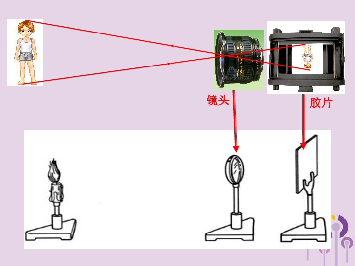 八年级物理上册4.4《照相机与眼睛视力矫正》课件(新版)苏科版.