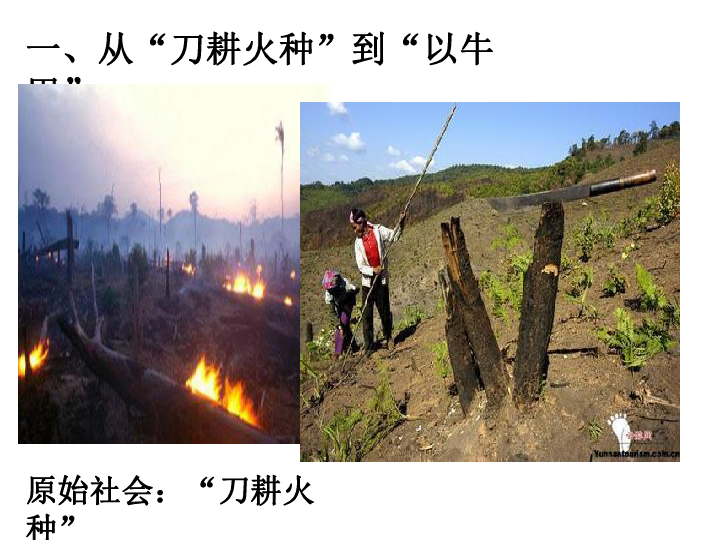 桐庐县分水镇经济总量_桐庐县分水镇图片