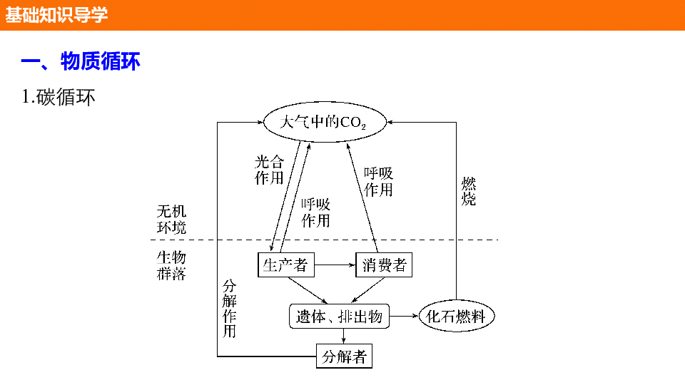 稳态人口定义_内环境稳态思维导图(3)