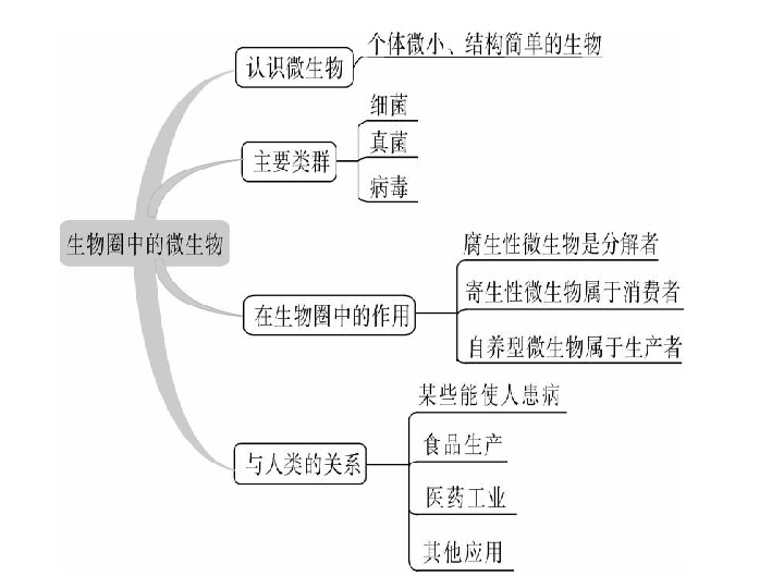 17,18 生物圈中的动物,生物圈中的微生物小结与复习(25张)