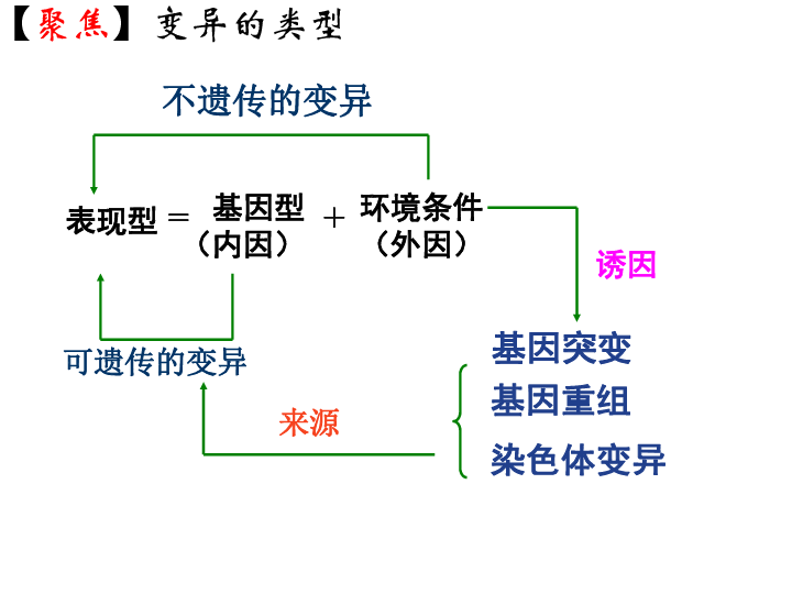 1基因突变和基因重组