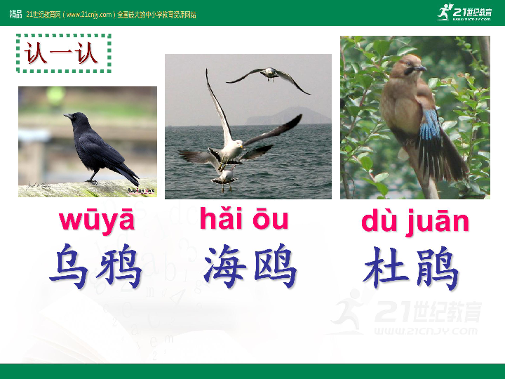 b10ee027b3b3ff7c972c7394ea3887f4.png