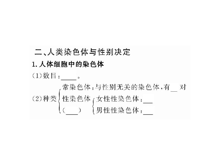 由性人口_人口普查(2)