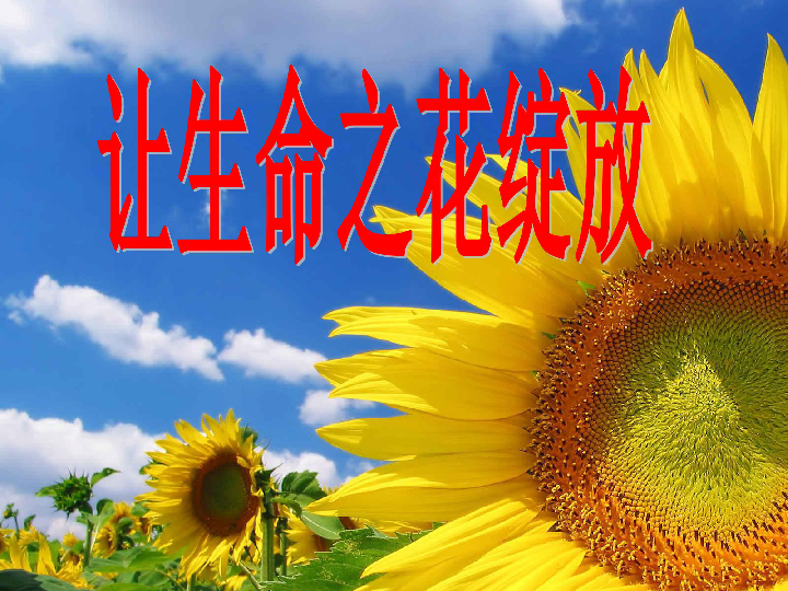 生命之花简谱_生命之花图片