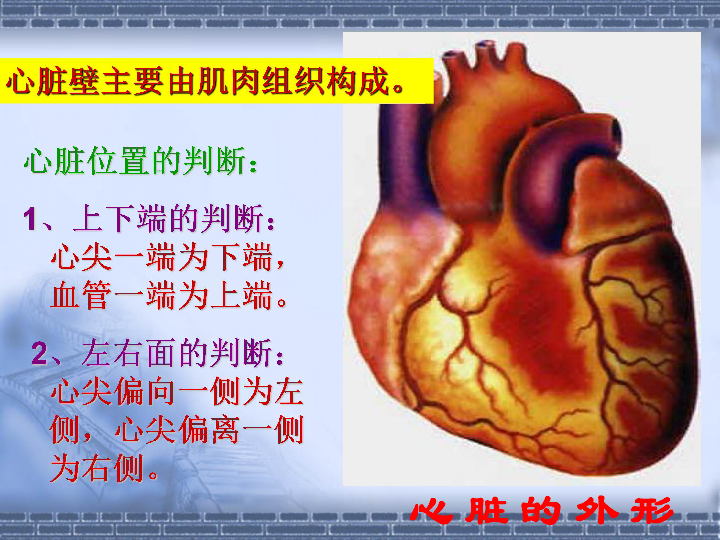 拳头心猜成语_拳头简笔画(3)