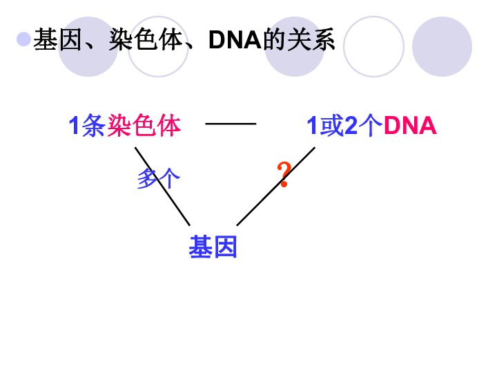 亚瑟王基因人口数量_黑化亚瑟王图片(2)