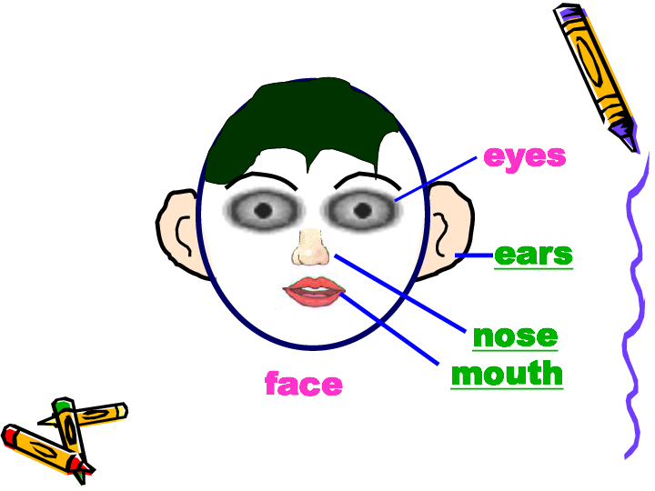 lesson 12 i smell with my nose 课件