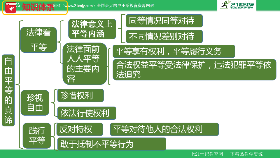 第七课 尊重自由平等 复习课件
