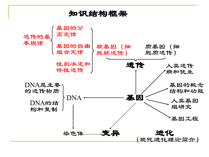 孟德尔遗传定律的实质_孟德尔遗传定律教案范文_孟德尔遗传定律试题集