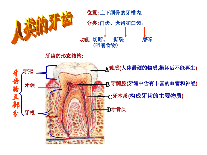 b8e2f073b18f80704742e31482a0df6b.png