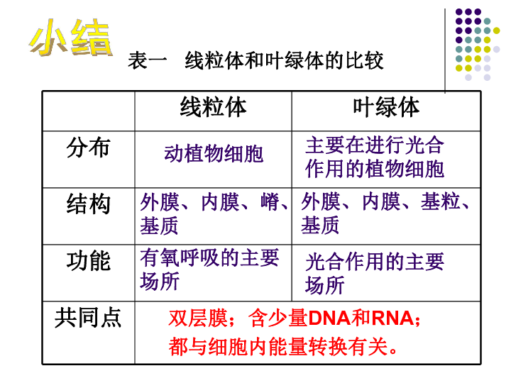 汕头人口城市排名第几_汕头城市图片(3)