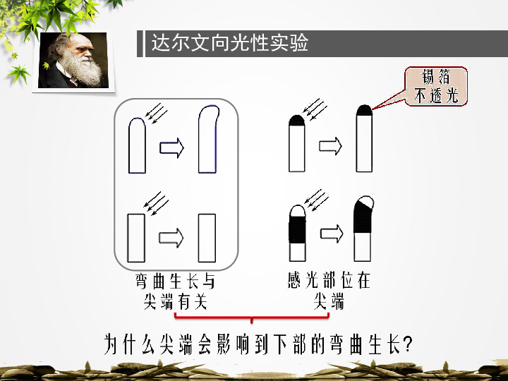 人口两重性_人口普查图片(2)