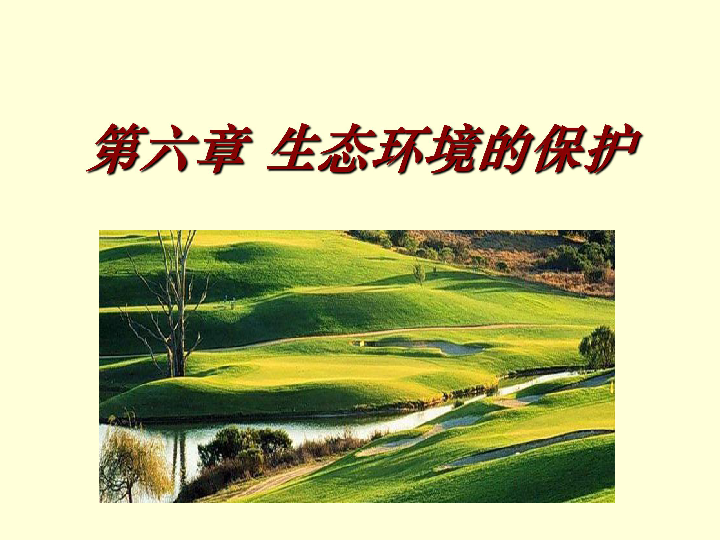 人口增长对生态环境的影响ppt_保护环境ppt背景图片(2)