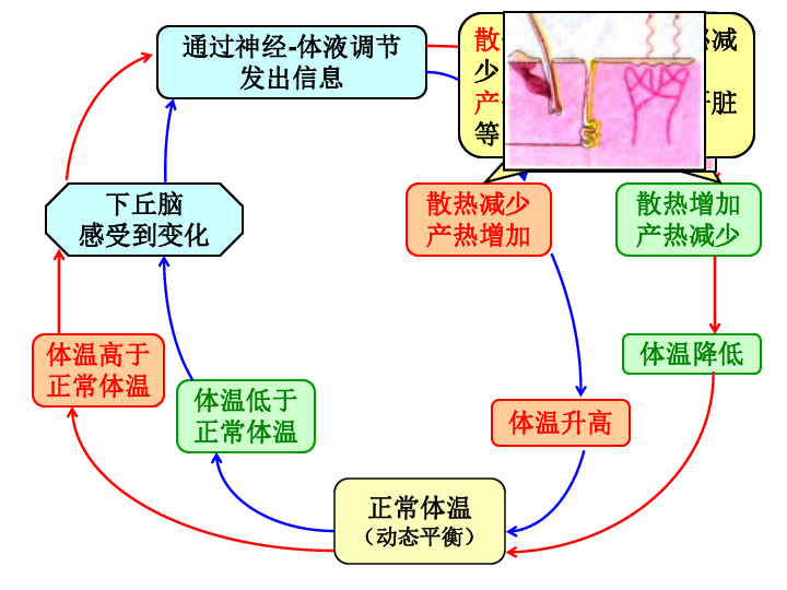 张液市人口_张掖的人口民族(2)