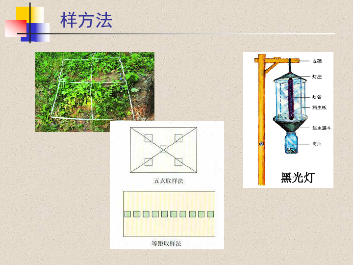 稳态人口定义_内环境稳态思维导图(3)