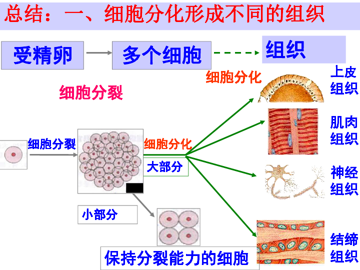 人口构成又称人口结构_线立体构成(3)