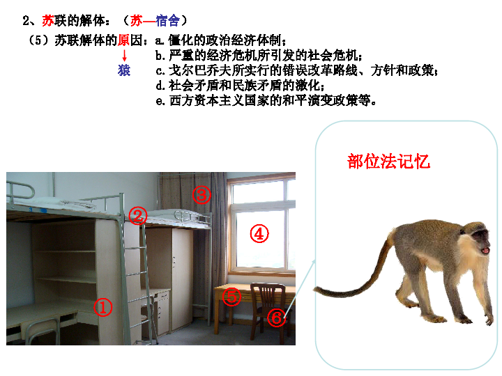 苏联体国家经济总量排名_苏联国旗(3)