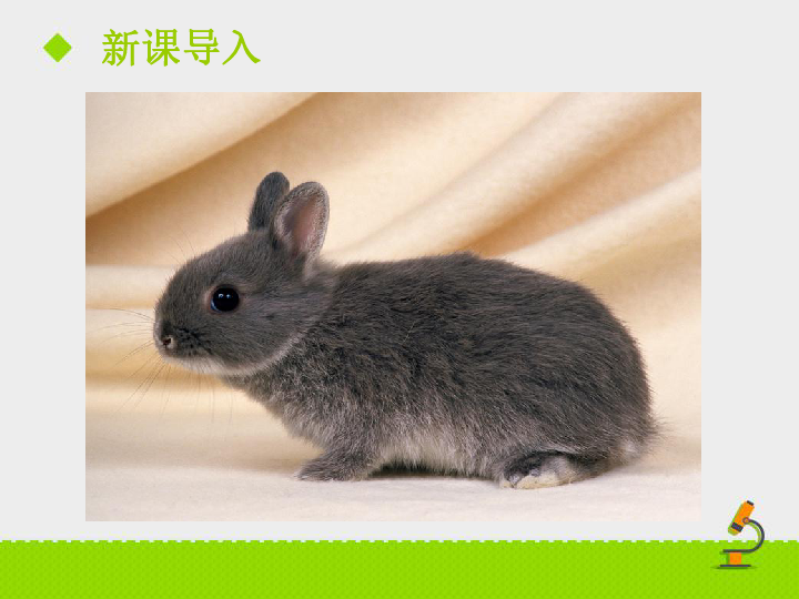 bc88de5c3e2788a4697304711a948699.png