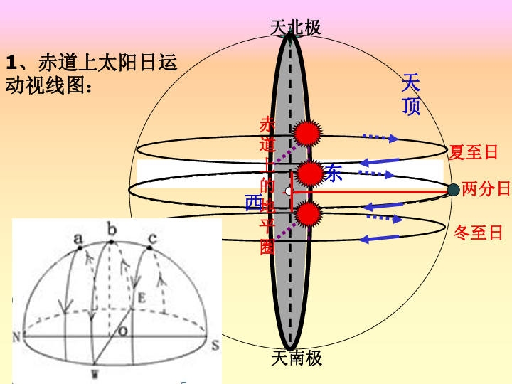 福建省莆田第八中学(人教版)地理高三复习专题课件:太阳视运动轨迹