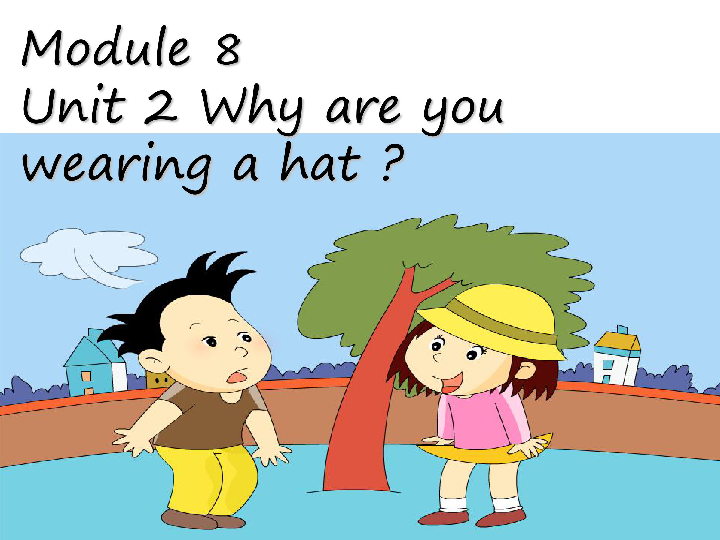 unit 2 why are you wearing a hat? 课件