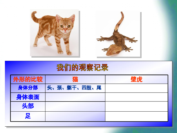 蜘蛛壁虎猜成语是什么成语_疯狂猜成语蜘蛛网下面四个黑色的蹄子印 图文攻略