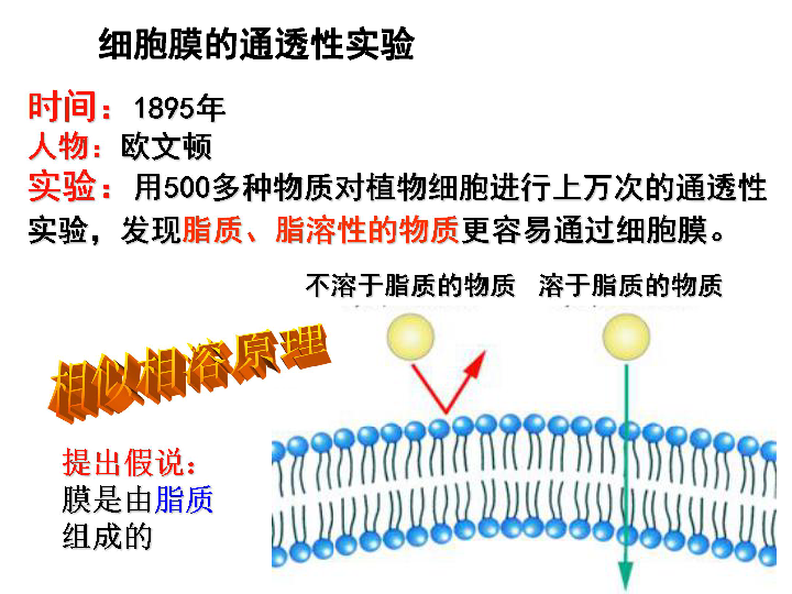 世界人口流动模型_中国人口省际流动重力模型的参数标定与误差估算(2)