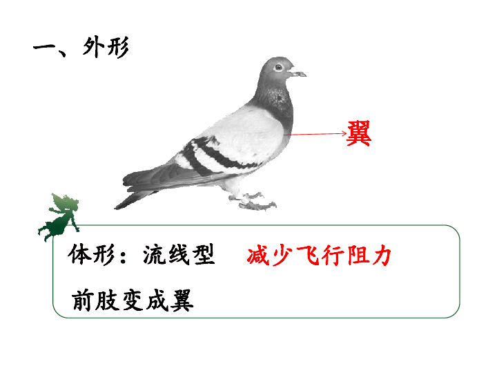 人前鸟后的成语是什么_这是什么成语看图(3)