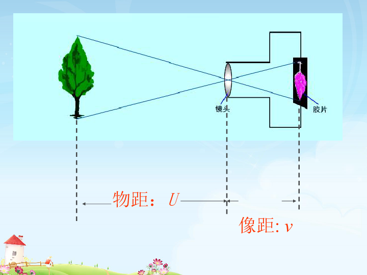 初中物理 人教版 八年级上册 第五章 透镜及其应用 第2节 生活中的