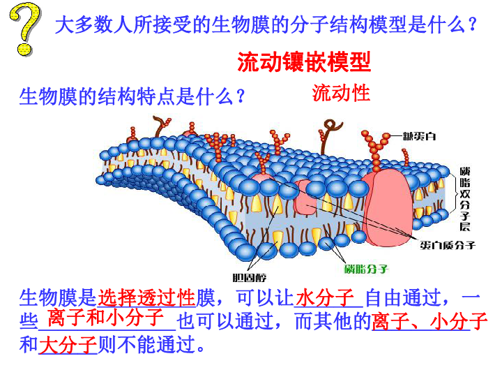 人口流动的模型_中国人口省际流动重力模型的参数标定与误差估算(3)