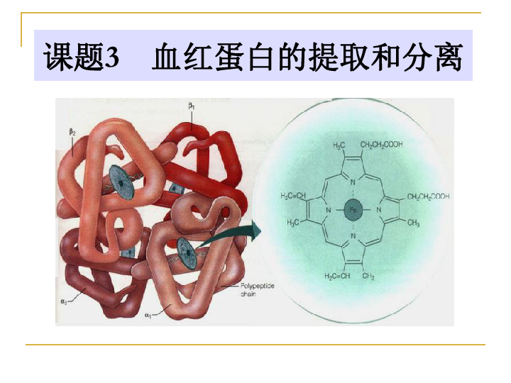 3蛋50人口翻盘_分20组,每组50人每组将评选出最短时间成功立蛋的参赛者获得冠(2)