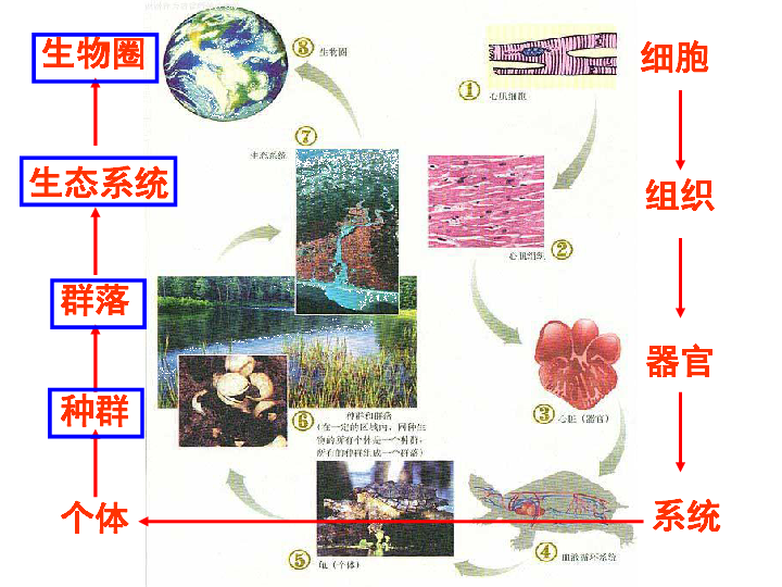 成都市中小学人口数_2017年成都回民小学毕业人数升初中比例统计(2)