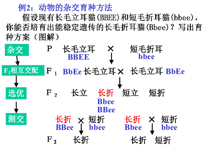 选择育种利用什么原理_詹森育种原理公式图解