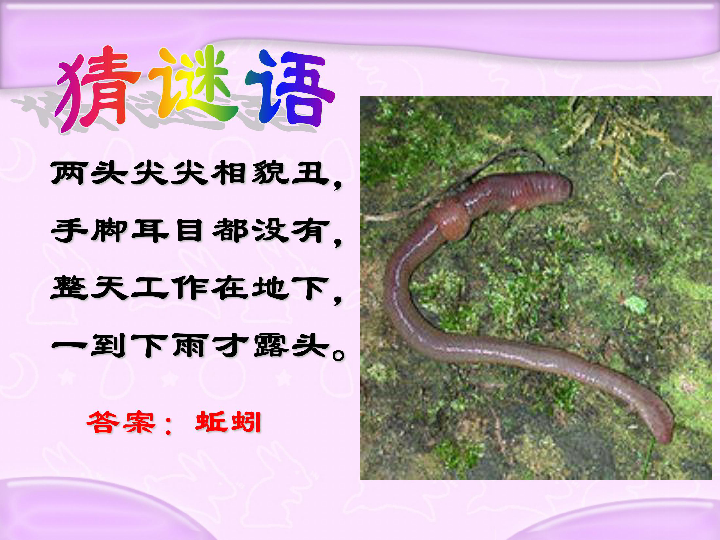 蚯蚓找家