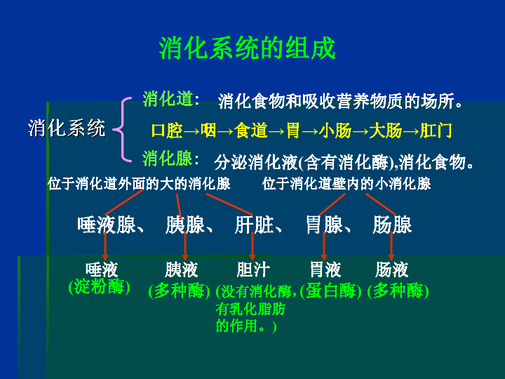 生物圈中的人 第8章 人体的营养 第2节 食物的消化和营养物质的吸收